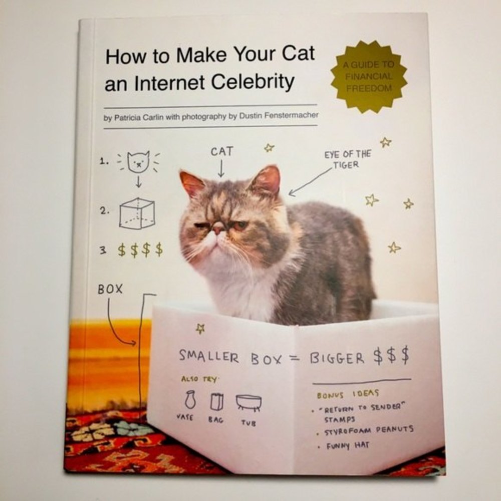 “How to Make Your Cat an Internet Celebrity” Book